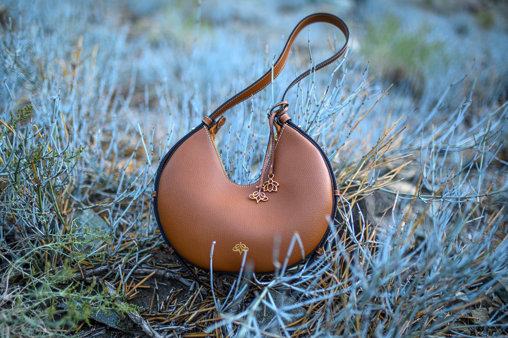 Brown linearity handbag with gold chain on a desert landscape