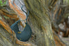 Lole Green handbag hanging on a tree branch