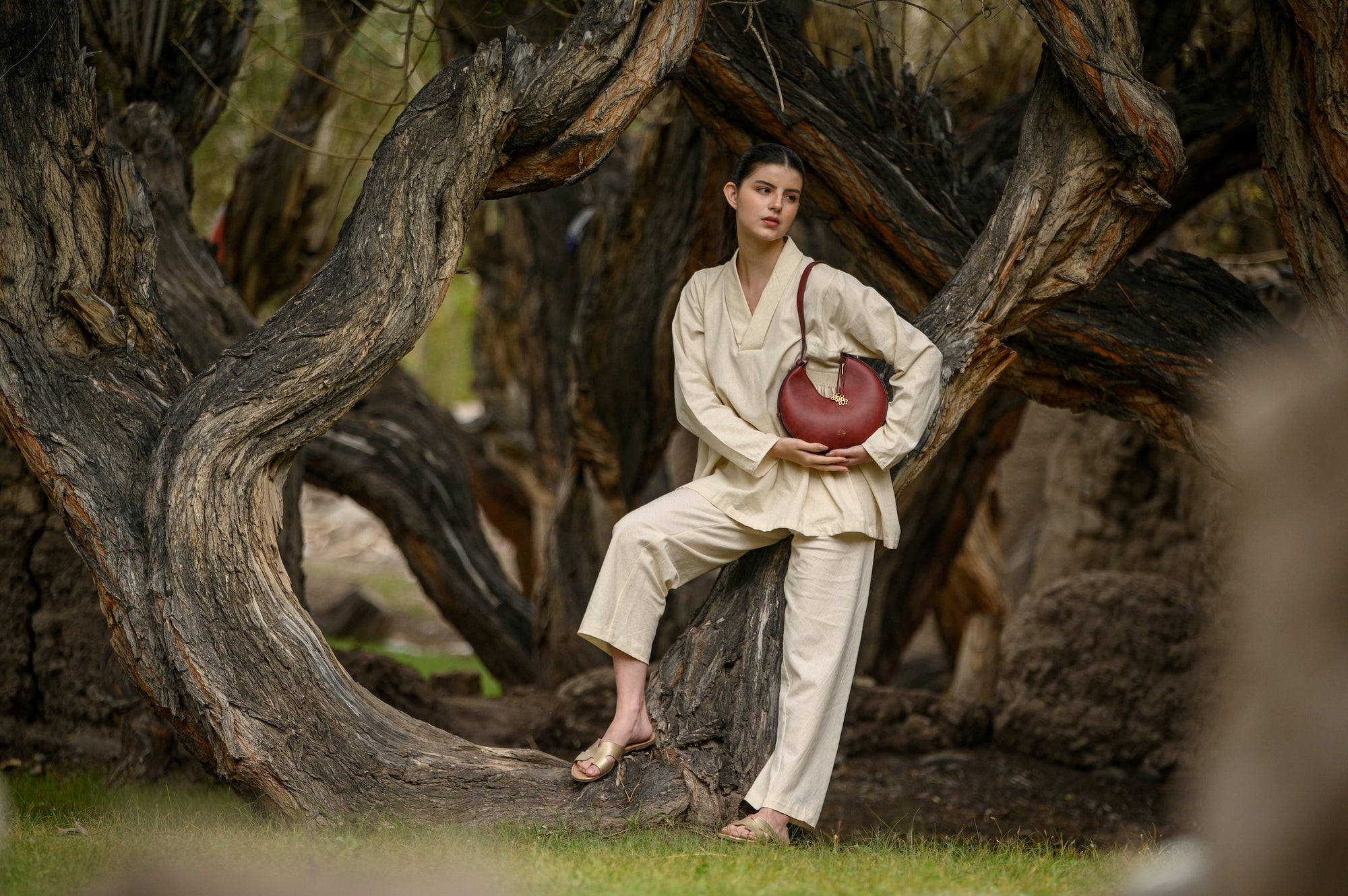 Person in a beige outfit sitting under a large tree holding a bordeaux linearity bag.