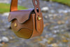 Brown linearity handbag with gold accents on a blurred natural background